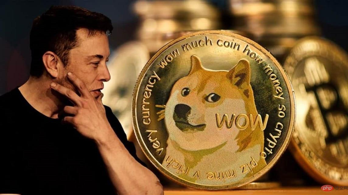 为什么狗狗币价格近期上涨?市场情绪如何影响DOGE?